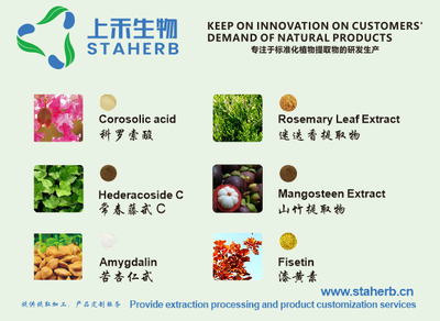 綠原酸 天然綠色的多面手，工業(yè)植物提取引領(lǐng)健康新未來